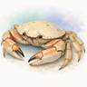 Thumbnail Crab